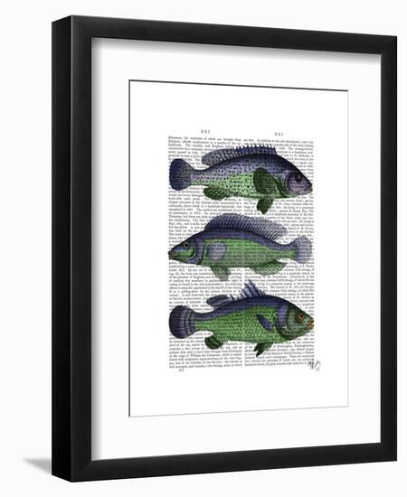 Blue and Green Fish Trio-Fab Funky-Framed Art Print