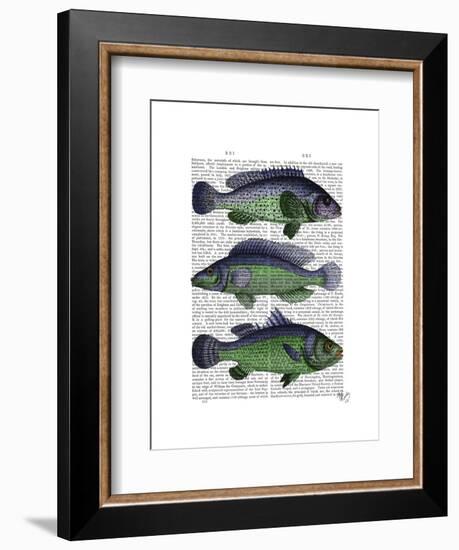 Blue and Green Fish Trio-Fab Funky-Framed Art Print