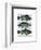 Blue and Green Fish Trio-Fab Funky-Framed Art Print