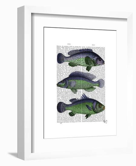 Blue and Green Fish Trio-Fab Funky-Framed Art Print