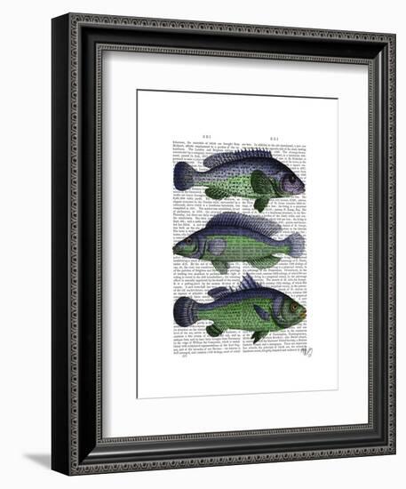 Blue and Green Fish Trio-Fab Funky-Framed Art Print