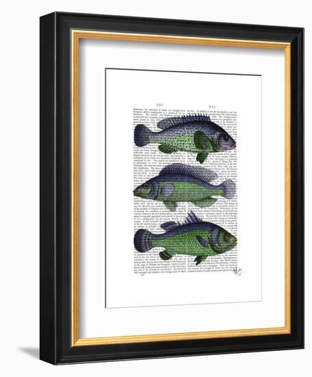 Blue and Green Fish Trio-Fab Funky-Framed Art Print