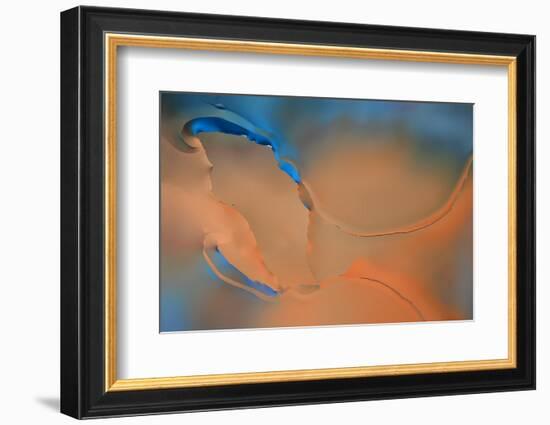 Blue and Orange Flow-Cora Niele-Framed Photographic Print