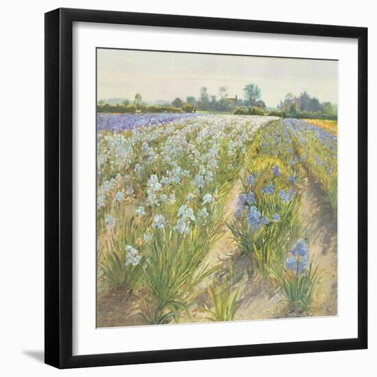 Blue and White Irises, Wortham-Timothy Easton-Framed Giclee Print