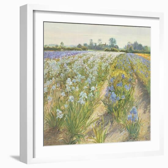 Blue and White Irises, Wortham-Timothy Easton-Framed Giclee Print