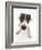 Blue-And-White Jack Russell Terrier Puppy, Scamp-Mark Taylor-Framed Photographic Print