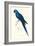 Blue and Yellow Macaw - Ara Ararauna-Edward Lear-Framed Art Print