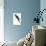 Blue and Yellow Macaw - Ara Ararauna-Edward Lear-Premium Giclee Print displayed on a wall