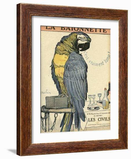 Blue and Yellow Macaw Parrot-Abel Faivre-Framed Art Print