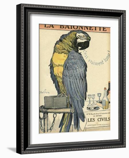 Blue and Yellow Macaw Parrot-Abel Faivre-Framed Art Print