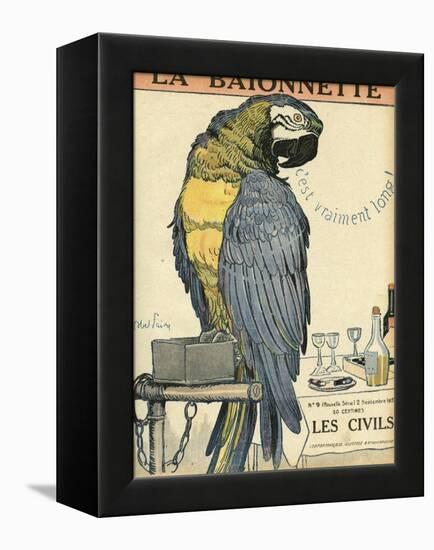 Blue and Yellow Macaw Parrot-Abel Faivre-Framed Stretched Canvas
