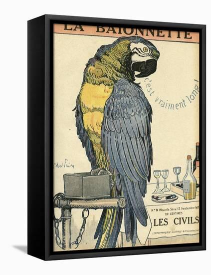 Blue and Yellow Macaw Parrot-Abel Faivre-Framed Stretched Canvas