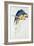 Blue and Yellow Macaw-Edward Lear-Framed Giclee Print