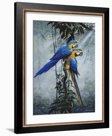 Blue and Yellow Macaws 2-Harro Maass-Framed Giclee Print