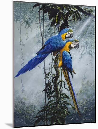 Blue and Yellow Macaws 2-Harro Maass-Mounted Giclee Print