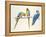 Blue and Yellow Macaws-Mary Clare Critchley-Salmonson-Framed Premier Image Canvas