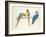 Blue and Yellow Macaws-Mary Clare Critchley-Salmonson-Framed Giclee Print