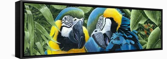 Blue and Yellow Macaws-Durwood Coffey-Framed Premier Image Canvas