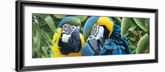 Blue and Yellow Macaws-Durwood Coffey-Framed Giclee Print