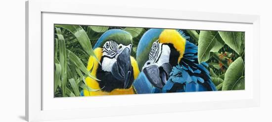 Blue and Yellow Macaws-Durwood Coffey-Framed Giclee Print