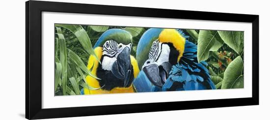 Blue and Yellow Macaws-Durwood Coffey-Framed Giclee Print