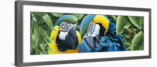 Blue and Yellow Macaws-Durwood Coffey-Framed Giclee Print