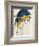 Blue and Yellow Maccaw-Edward Lear-Framed Giclee Print