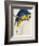 Blue and Yellow Maccaw-Edward Lear-Framed Giclee Print