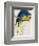 Blue and Yellow Maccaw-Edward Lear-Framed Giclee Print