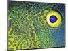 Blue and Yellow Triggerfish Eye-Bill Varie-Mounted Photographic Print