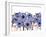 Blue Anemone-Natasha Wescoat-Framed Giclee Print