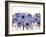 Blue Anemone-Natasha Wescoat-Framed Giclee Print