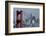 Blue Angels Arrive at Golden Gate Bridge, San Francisco-Vincent James-Framed Photographic Print