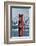 Blue Angels Fly at Golden Gate Bridge, San Francisco-Vincent James-Framed Photographic Print