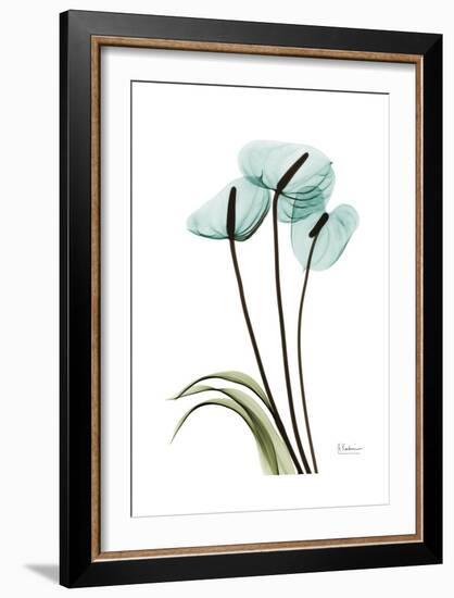 Blue Anthurium-Albert Koetsier-Framed Art Print