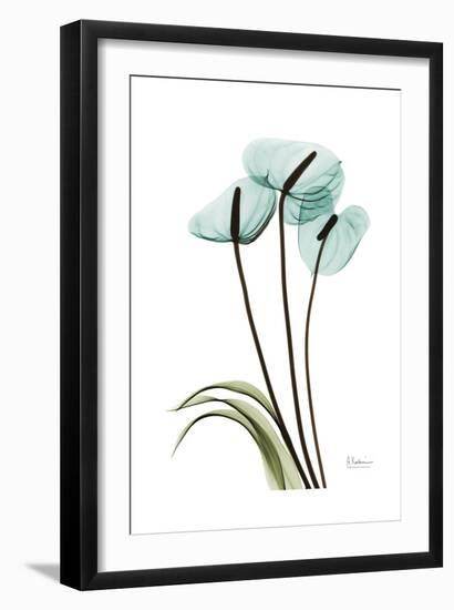 Blue Anthurium-Albert Koetsier-Framed Art Print