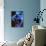 Blue arrow poison frog-Herbert Kehrer-Photographic Print displayed on a wall