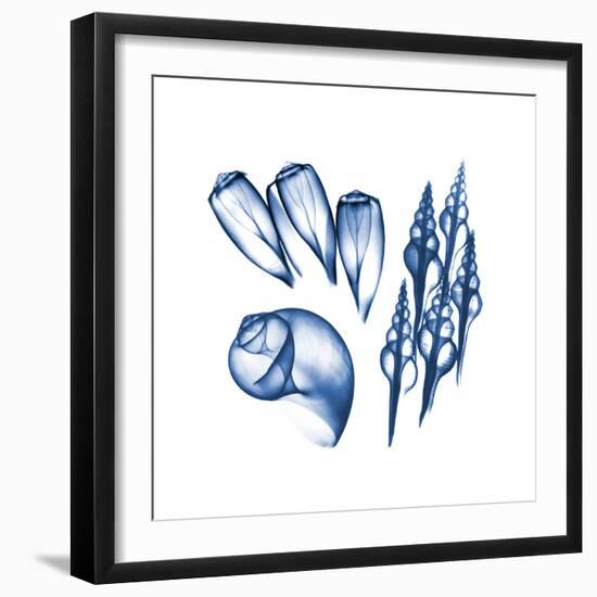 Blue Assortment Five-Albert Koetsier-Framed Art Print