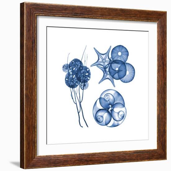 Blue Assortment Four-Albert Koetsier-Framed Art Print