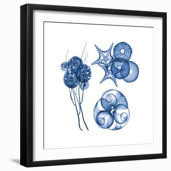 Blue Assortment Four-Albert Koetsier-Framed Art Print