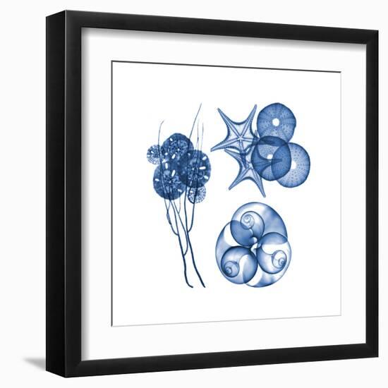 Blue Assortment Four-Albert Koetsier-Framed Art Print