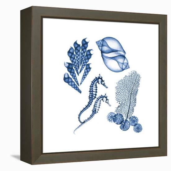 Blue Assortment One-Albert Koetsier-Framed Stretched Canvas