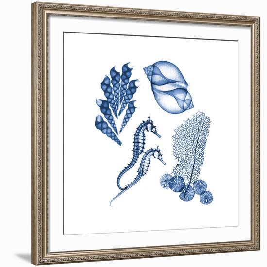 Blue Assortment One-Albert Koetsier-Framed Art Print