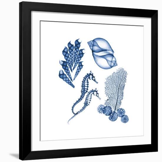 Blue Assortment One-Albert Koetsier-Framed Art Print