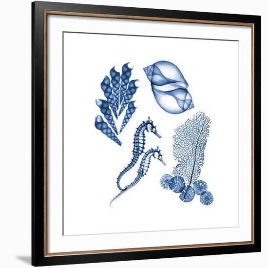 Blue Assortment One-Albert Koetsier-Framed Art Print