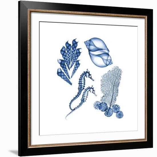 Blue Assortment One-Albert Koetsier-Framed Art Print