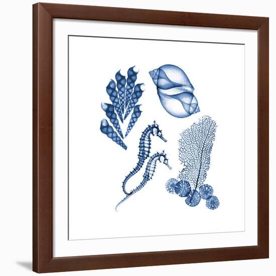 Blue Assortment One-Albert Koetsier-Framed Art Print