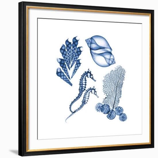 Blue Assortment One-Albert Koetsier-Framed Art Print