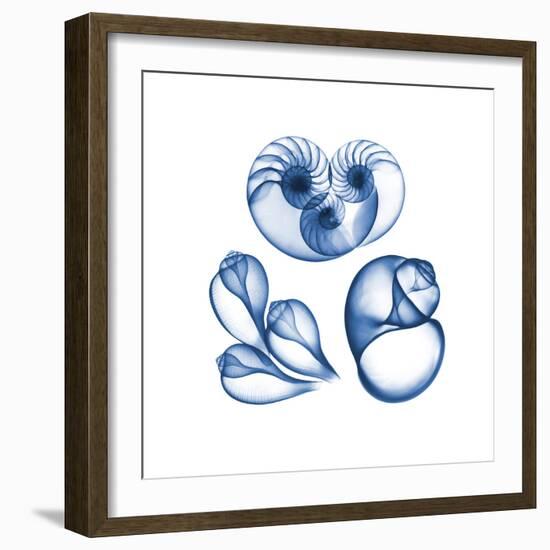 Blue Assortment Six-Albert Koetsier-Framed Art Print