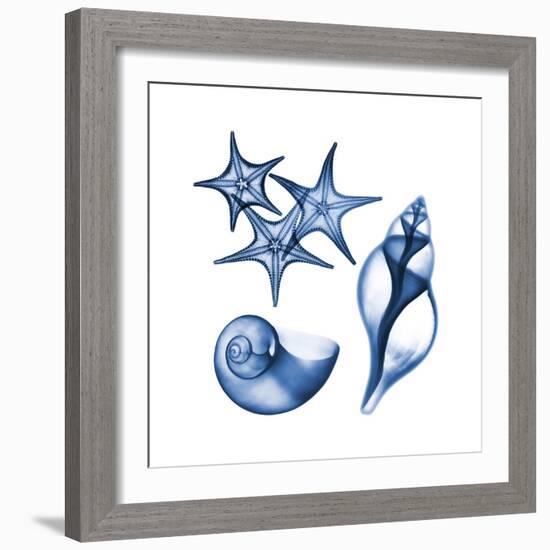 Blue Assortment Three-Albert Koetsier-Framed Art Print